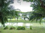 thumbnail-tanah-kavling-citraland-surabaya-raya-raffles-garden-hadap-danau-1