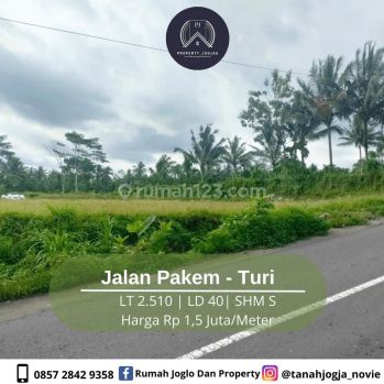 Tanah Sawah Luas Tepi Jalan Pakem Turi 1 Jutaan View Kota Jogja