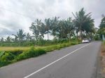 thumbnail-tanah-sawah-luas-tepi-jalan-pakem-turi-1-jutaan-view-kota-jogja-1