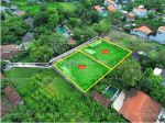 thumbnail-exquisite-leasehold-land-opportunity-in-canggu-bali-3