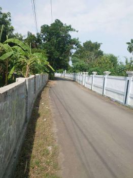 Dekat Alun Alun Tegal Selatan: Tanah Murah, SHM Pekarangan