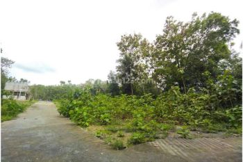 Tanah Dijual Timur Bandara Yia, Dekat Stadion Cangkring Wates