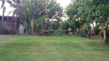 Tanah Masceti Turun Harga