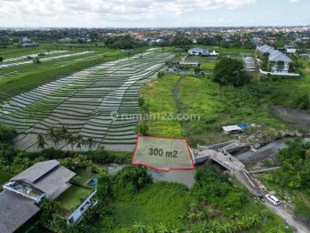 Area Berkembang Seseh !! Tanah Pinggir Sungai,View Pantai Dan Sawah Di Pantai di