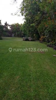 TURUN HARGA ! DIJual TANAH Masceti Gianyar