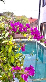Hot List Termurah Di Kelasnya Di Jual Villa Lokasi Tangtu Denpasar Timur