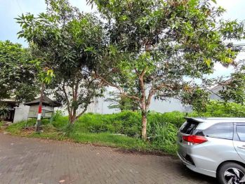 MURAH Tanah 5 Jt-an PBI ARAYA Luas 200 Harga Miring