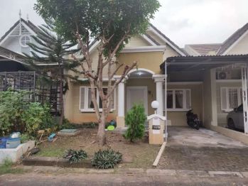 Di Sewakan Rumah Jasmine Park
