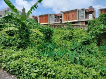 Sale tnh lux 6are link villa canggu berawa gg anggrek dkt atlas,finns