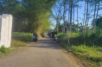 Dijual Tanah Cocok Bangun Kos Pakis Malang Dekat Araya