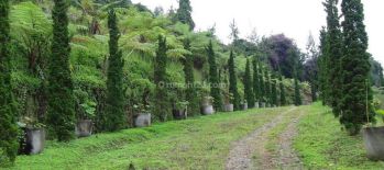 Tanah Padat Siap Bangun Di Dago Pakar Dekat Tahura Bandung