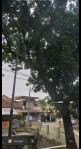 thumbnail-di-jual-tanah-4100-meter-di-jl-raya-pasar-minggu-jakarta-selatan-8