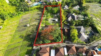 Rice field View Land in Umalas Kuwum Kerobokan