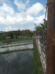 thumbnail-rice-field-view-land-in-umalas-kuwum-kerobokan-6