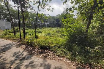 Tanah Murah Depok Dekat Rs Arrafiq Luas Ideal