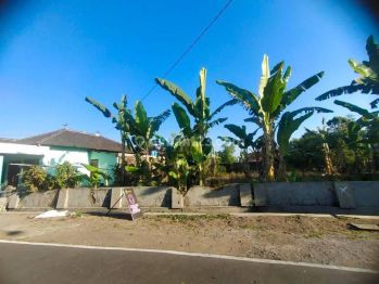 Dijual Tanah Pekarangan Luas 802m2 Lokasi Mojolaban,sukoharjo