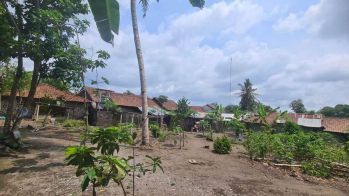 Tanah Jogja Harga Murah, SHMP siap AJB, Jl. Pamungkas Ngemplak