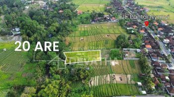 Hot List Termurah Di Kelasnya Di Jual Tanah View Sawah Lokasi Nyanyi Beraban