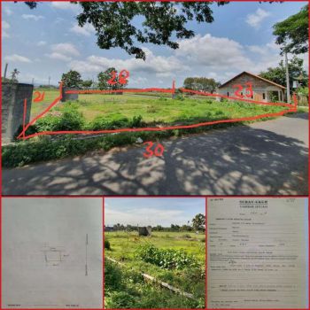 Tanah 558m ld 30 dekat kampus ISI cocok u cafe n kos