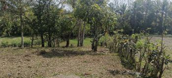 tanah kebun luas kecil zona perumahan di tabanan, bali.