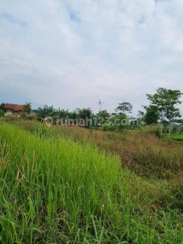Jual Tanah di Desa Sukamukti Majalaya Rancawaas
