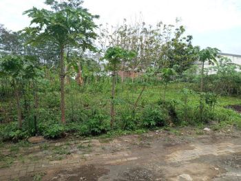 TANAH KAVLING MURAH POL SIAP BANGUN AREA SINGOSARI MALANG