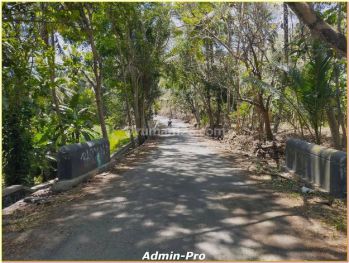 300 M Jl Pengasih Nanggulan, Luas 4220 M2, Shmp