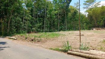 Tanah Manisrenggo Klaten, Tepi Jalan Aspal, Harga Nego