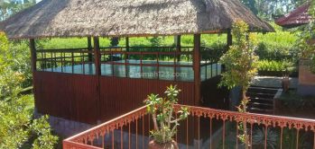 Hot List Di Jual Villa Lokasi Pejeng Ubud Gianyar