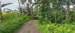 thumbnail-jual-tanah-diubud-view-sawah-hutan-dan-sungai-2