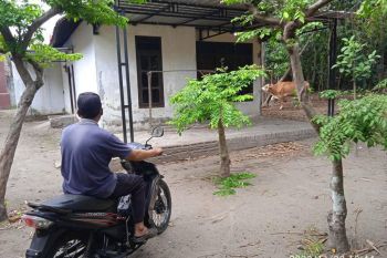 Dikontrakkan rumah setahun di gedog Sanan wetan Blitar