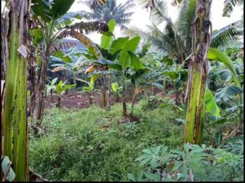 Dijual tanah dengan lokasi strategis