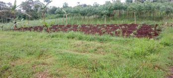 Dijual tanah 5 menit exit tol malang