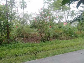 TANAH DARAT DEPAN JALAN STRATEGIS-MURAH-SHM.!