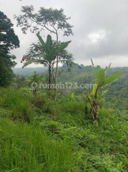 Hot List Di Jual Tanah Lokasi Plaga Petang Badung