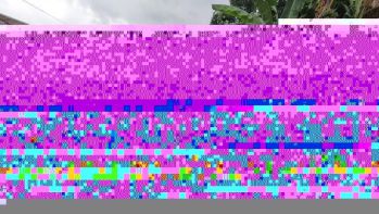 Rumah Lama Hitung Tanah Wonoayu Sidoarjo