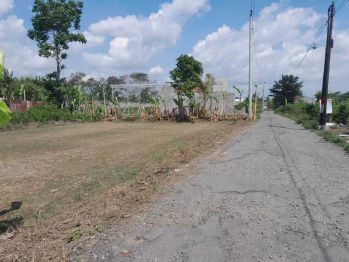 Tanah Maguwoharjo Jogja 200 meter Jl Tajem Area Kampus