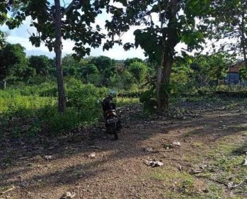 Tanah Jalan Utama Pantai Balangan Jimbaran Badung Bali