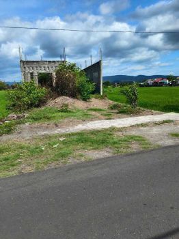 Tanah Pinggir Jalan Aspal dekat Wisata Gabusan di Sabdodadi Bantul