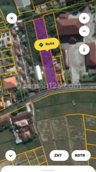 Hot List Di Jual Tanah Pinggir Jalan Utama View Sawah Lokasi Kunti Seminyak Kuta