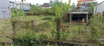 Sell Tanah: Tanah kediri tabanan