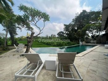 Tropis Villa dan Rice Field View di Pantai Berawa Canggu