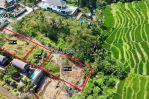 thumbnail-land-sale-mas-ubud-gianyar-view-sawah-6