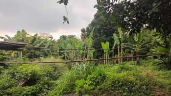 Dijual Tanah 40h Petukangan Utara Jakarta Selatan