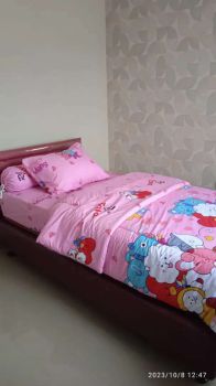 Dijual Rumah Mewah Cempaka Putih Jakarta Pusat