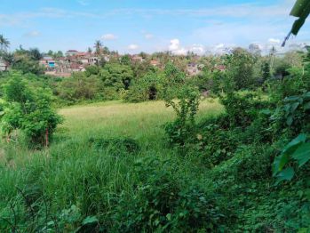 Di sewakan tanah premium luas 41,84are