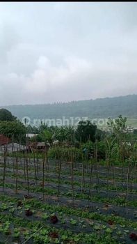 Sell Tanah: BEAUTIFUL LAND