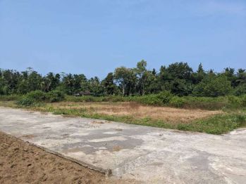 Tanah Cluster Dekat Bandara Yia Jogja Jalan Daendels Ngombol Purworejo