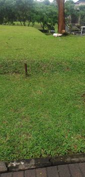 Jual Kavling Cajuputi De Park BSD Kawasan Exclusive Luas 400an