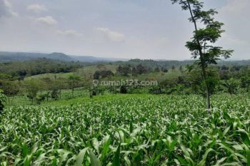 Di jual tanah 20 ha lokasi bantar kalong kec warung kiara harga 25000/m